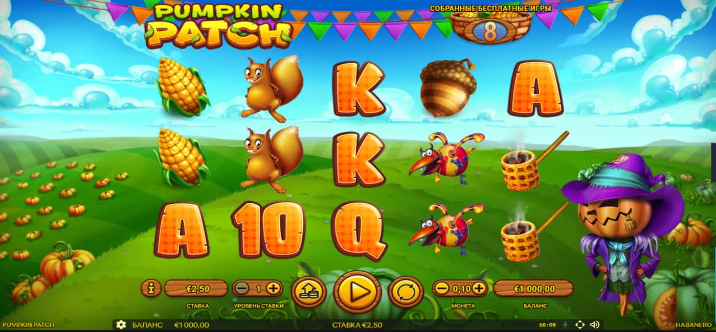 Pumpkin Patch